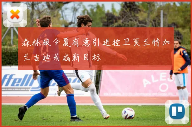 森林狼今夏有意引进控卫莫兰特加兰吉迪或成新目标