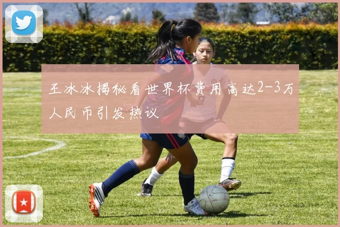 王冰冰揭秘看世界杯费用高达2-3万人民币引发热议