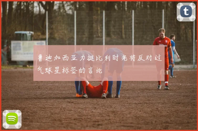 鲁迪加西亚力挺比利时老将反对过气球星标签的言论